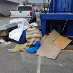 Reclaim Your Backyard: Yard Waste Cleanup with Junk Removal Services