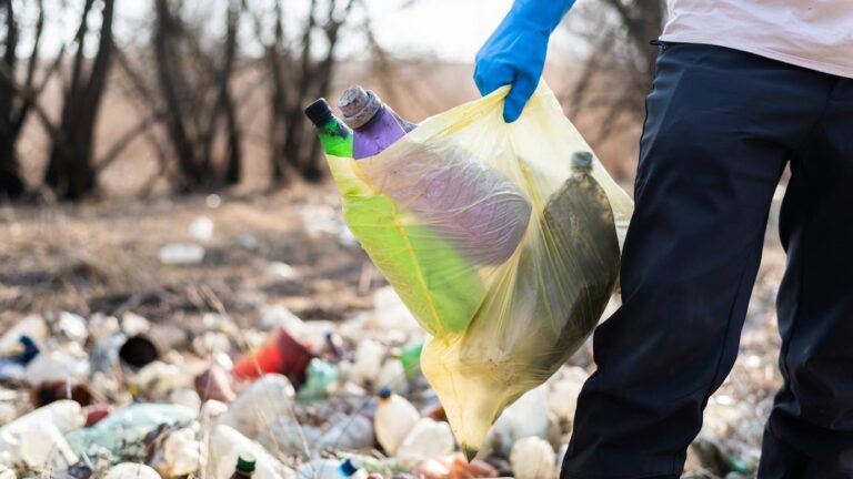 What to Expect from a Professional Junk Removal Service?